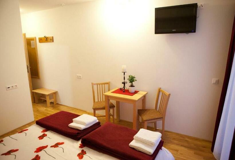 Номер Стандарт, Pansion Budimir