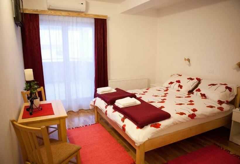 Номер Стандарт, Pansion Budimir