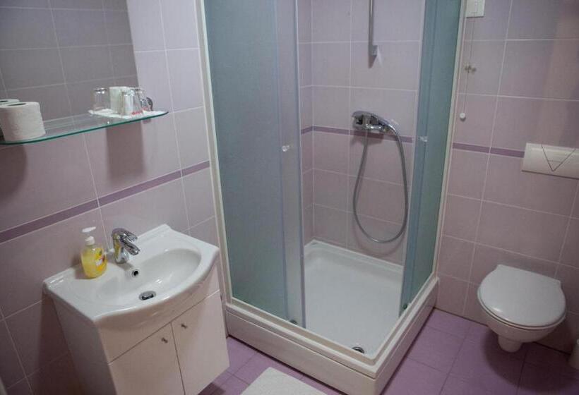 Номер Стандарт, Pansion Budimir