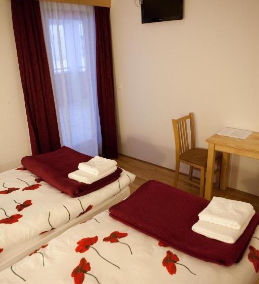 Номер Стандарт, Pansion Budimir