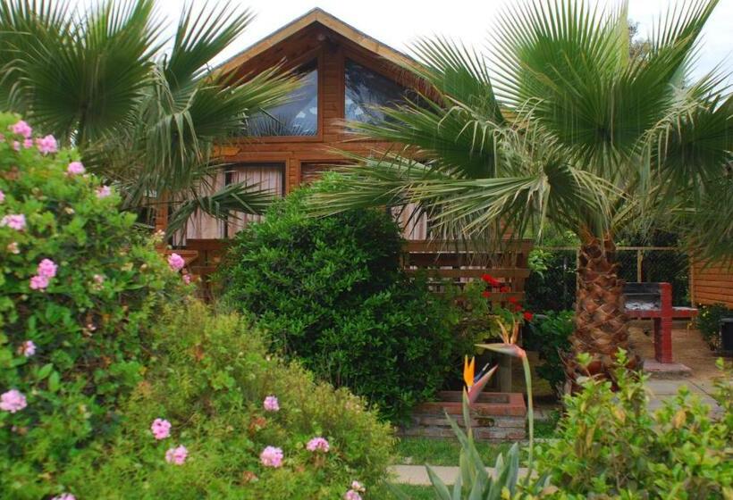 家族用バンガロー, Cabañas Barrachina, Punta De Tralca