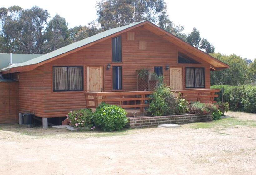 スタンダードバンガロー, Cabañas Barrachina, Punta De Tralca