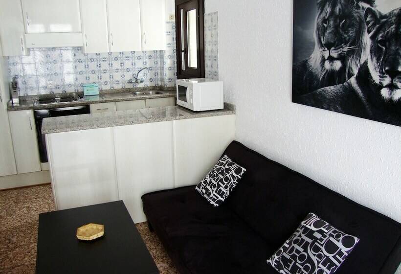 آپارتمان 1 خوابه, Apartamentos Arinsal 3000