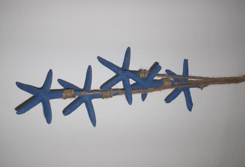 Номер Стандарт, Miramare