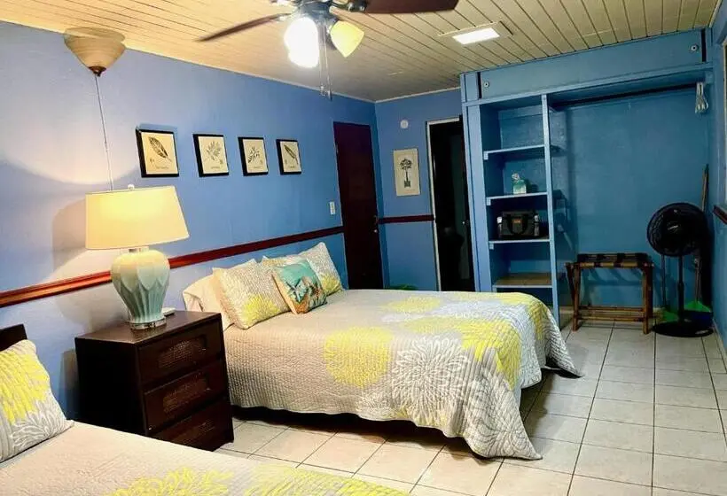 اتاق لوکس, Esperanza Inn Guesthouse