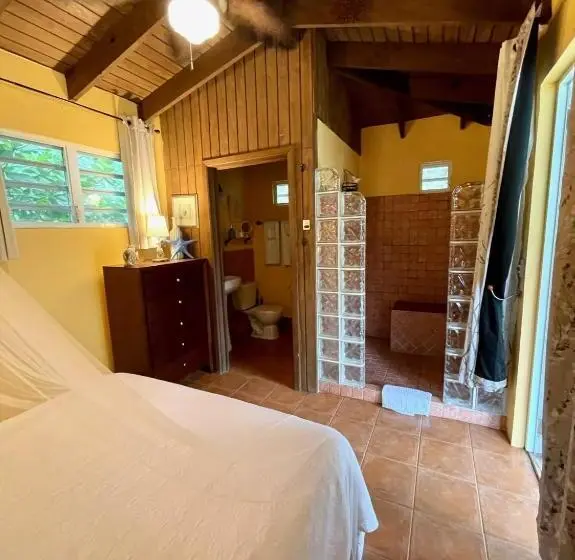 اتاق استاندارد با چشم‌انداز باغ, Esperanza Inn Guesthouse