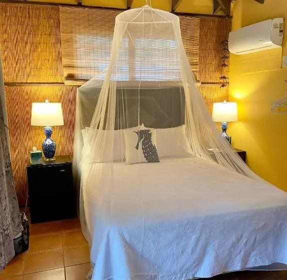 اتاق استاندارد با چشم‌انداز باغ, Esperanza Inn Guesthouse
