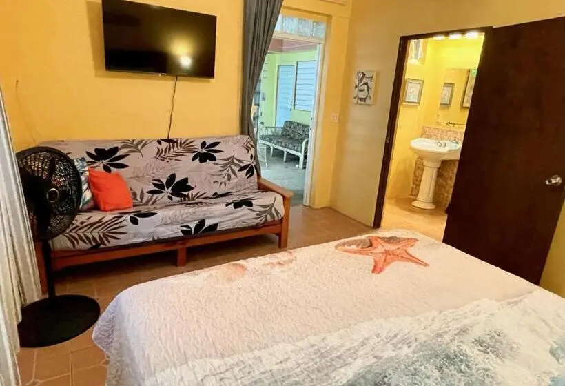 اتاق لوکس با تخت بزرگ, Esperanza Inn Guesthouse