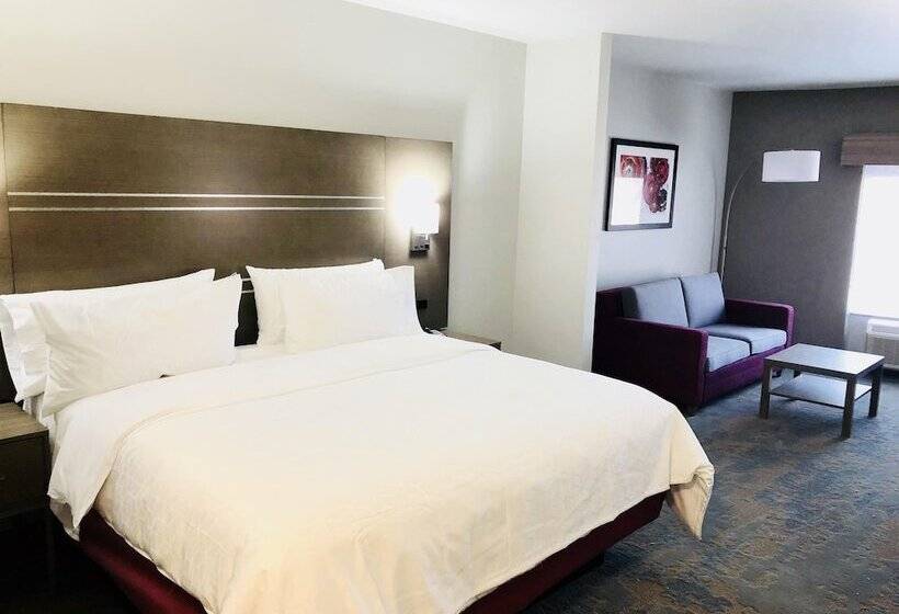 Люкс, Holiday Inn Express & Suites Memphis Arpt Elvis Presley Blv, An Ihg