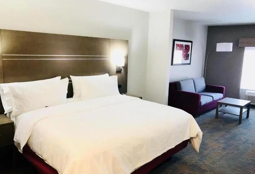 身障者適用キングサイズベッドルーム, Holiday Inn Express & Suites Memphis Arpt Elvis Presley Blv, An Ihg