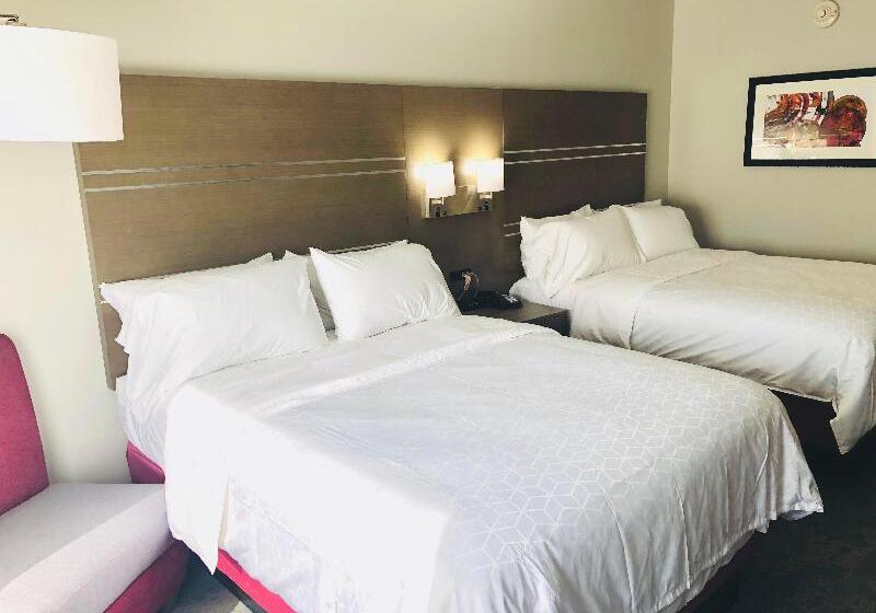 套房, Holiday Inn Express & Suites Memphis Arpt Elvis Presley Blv, An Ihg