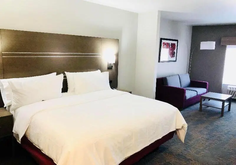 キングサイズベッドのスイートルーム, Holiday Inn Express & Suites Memphis Arpt Elvis Presley Blv, An Ihg