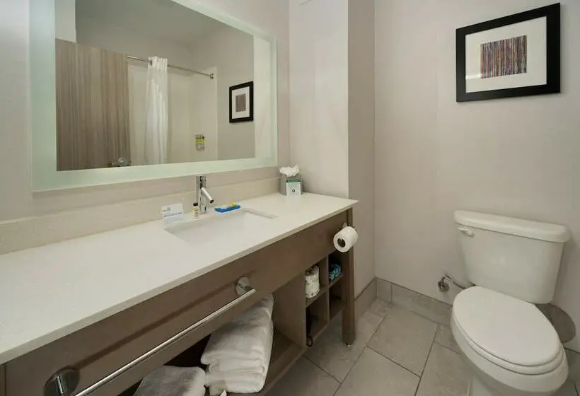 スタンダードルーム, Holiday Inn Express & Suites Memphis Arpt Elvis Presley Blv, An Ihg