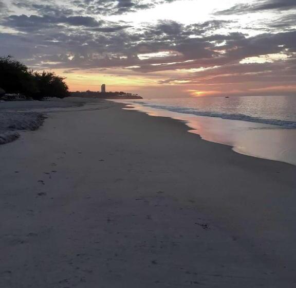 Standard Tent, Taca Tucan Hostel