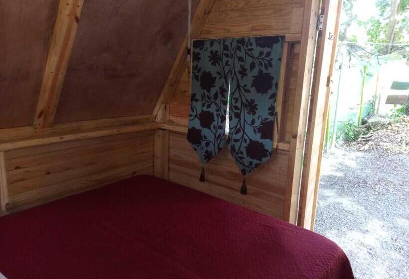 Standard Tent, Taca Tucan Hostel