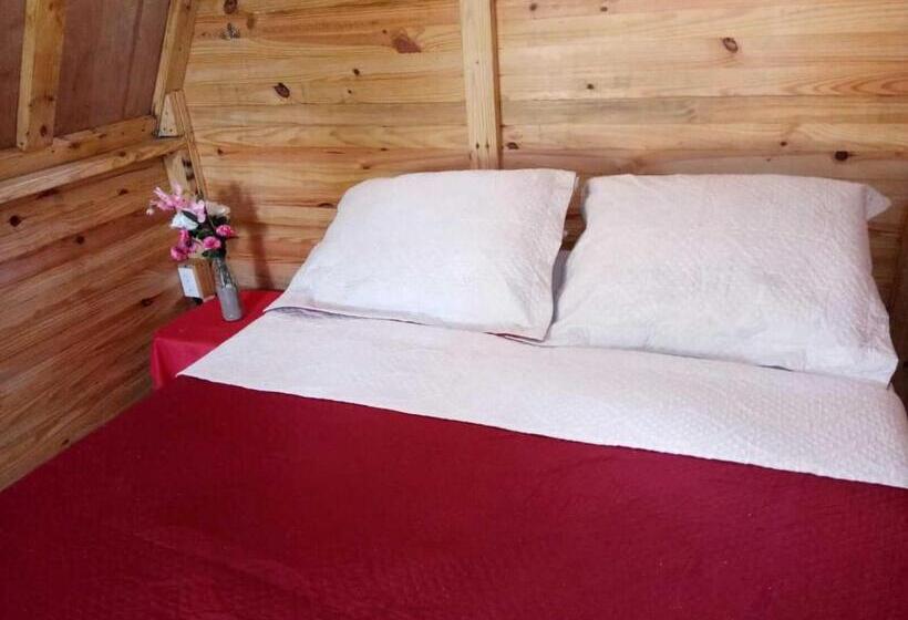 Standard Tent, Taca Tucan Hostel