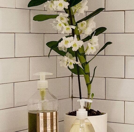 آپارتمان لوکس 1 خوابه, Villa Aida