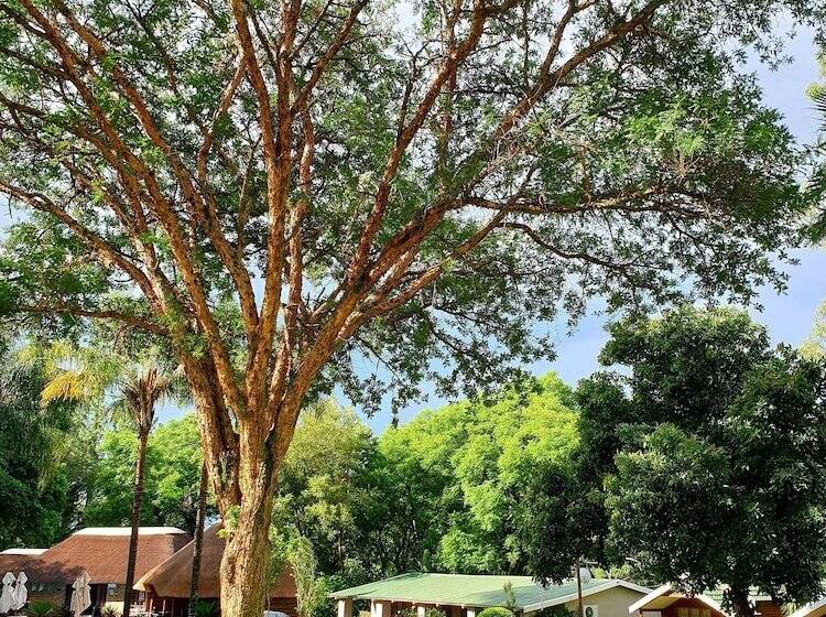 스탠다드 룸, Haggards On Hilldrop