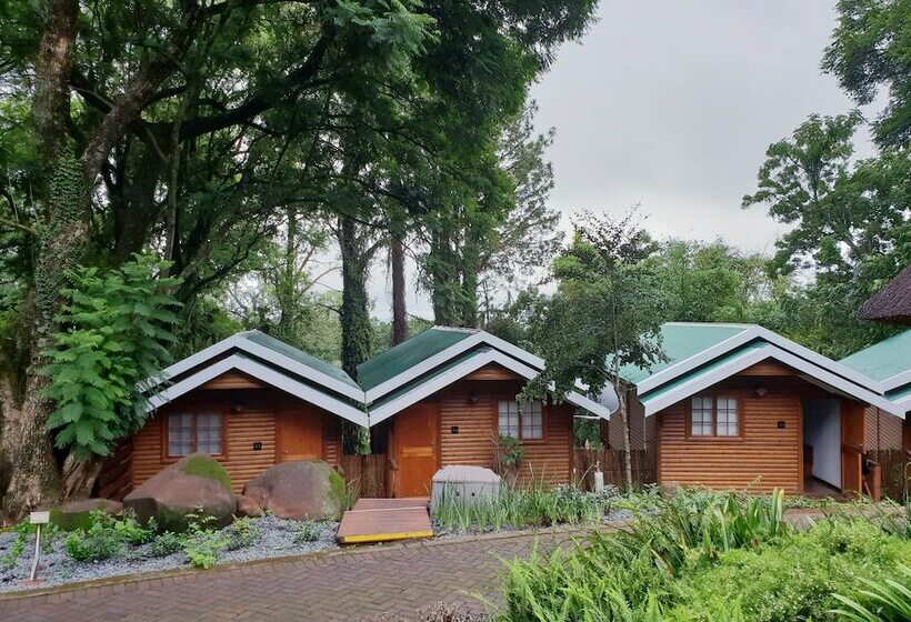 스탠다드 룸, Haggards On Hilldrop