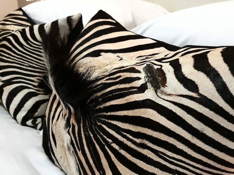 스탠다드 룸, Haggards On Hilldrop