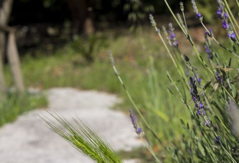 חדר סטנדרט, Agriturismo Tarantola