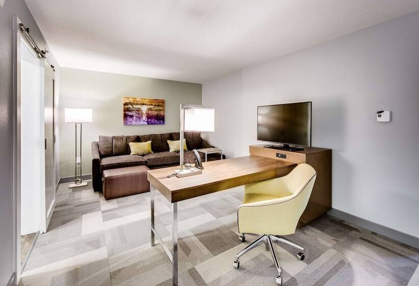 جناح لذوى الاحتياجات الخاصة, Hampton Inn & Suites Fort Worth Downtown