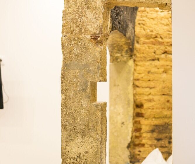 سوییت خانوادگی, 262 Boutique