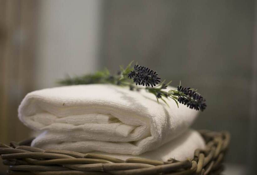 اتاق سوپریور, 262 Boutique