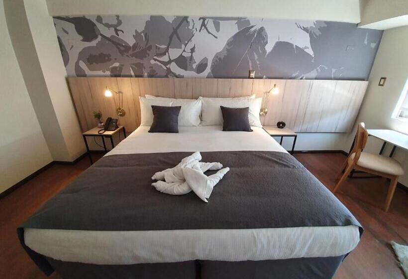 小型套房, Brasilia