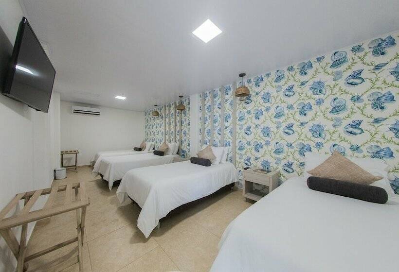 수피리어 룸, Isla Bonita