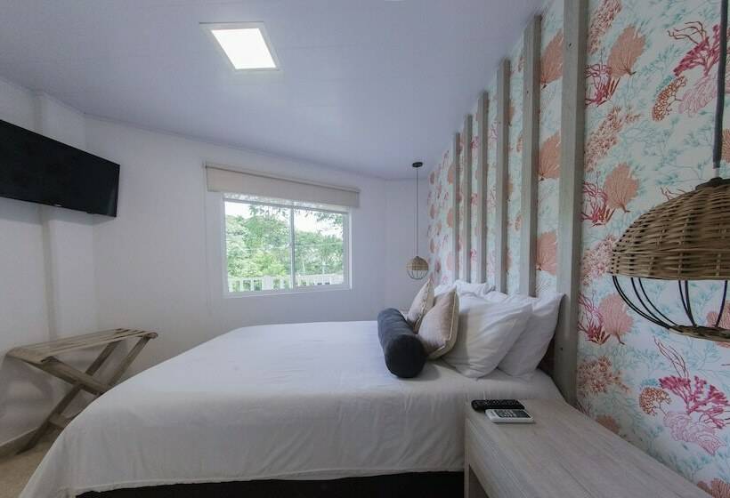 스탠다드 룸, Isla Bonita