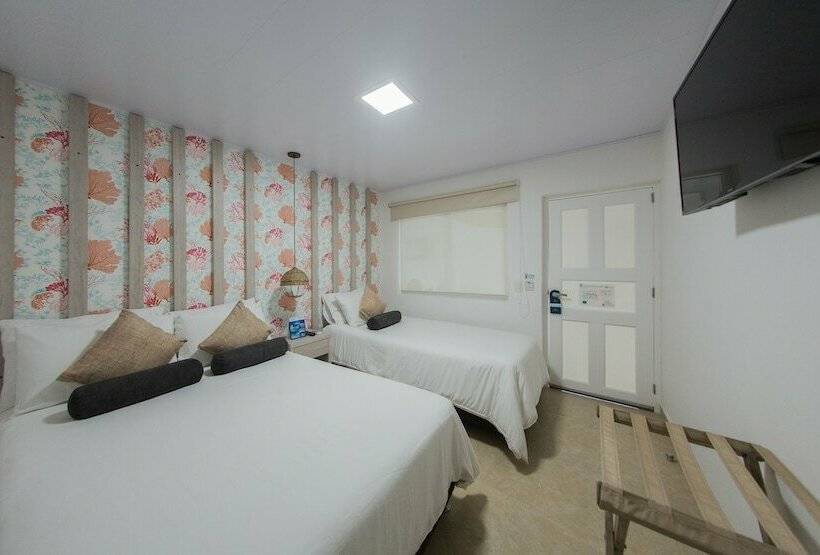 스탠다드 룸, Isla Bonita