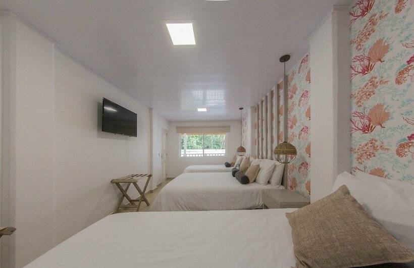 수피리어 룸, Isla Bonita