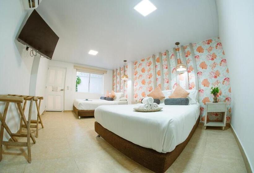 수피리어 룸, Isla Bonita