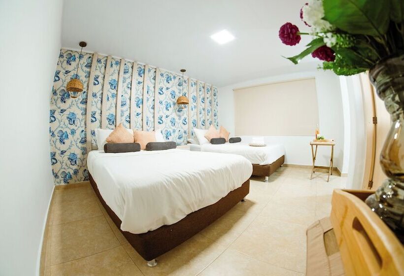 스탠다드 룸, Isla Bonita