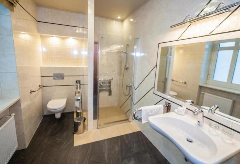 Номер Стандарт Кровать Кинг Адаптированный для Инвалидов, Przy Młynie