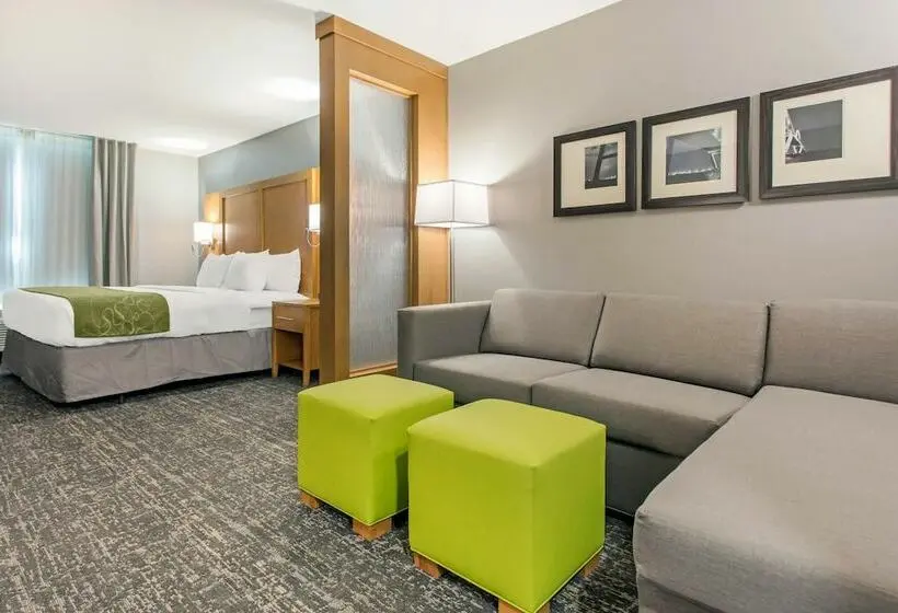 スイート, Comfort Suites North Charleston  Ashley Phosphate