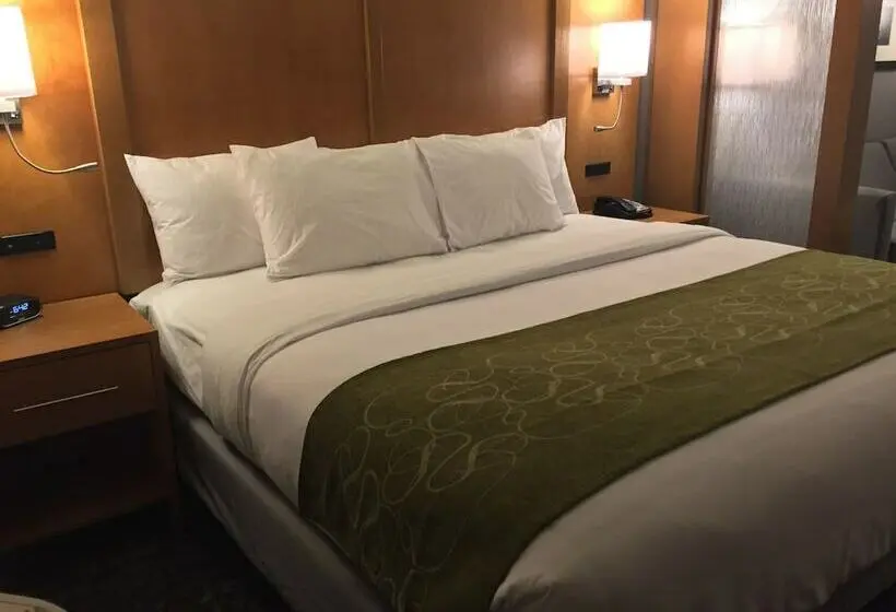 スイート, Comfort Suites North Charleston  Ashley Phosphate