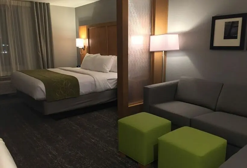 スイート, Comfort Suites North Charleston  Ashley Phosphate