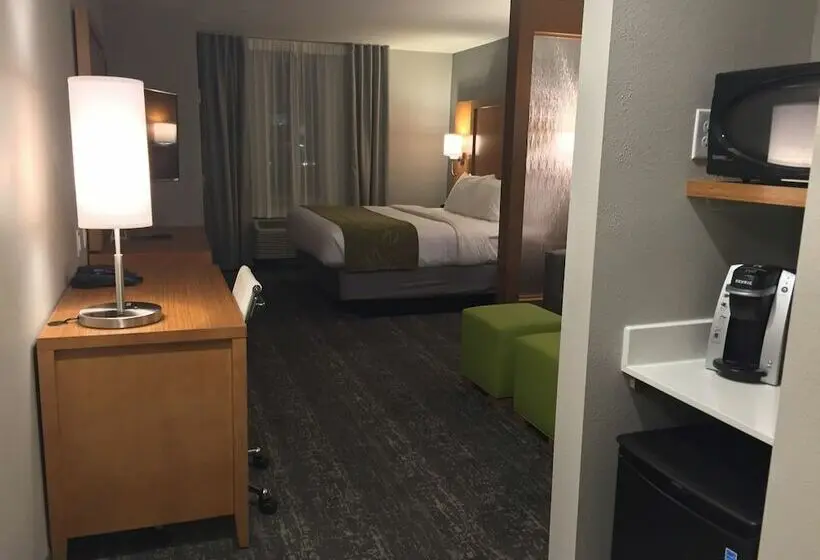 スイート, Comfort Suites North Charleston  Ashley Phosphate