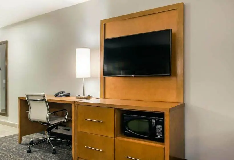 スイート, Comfort Suites North Charleston  Ashley Phosphate