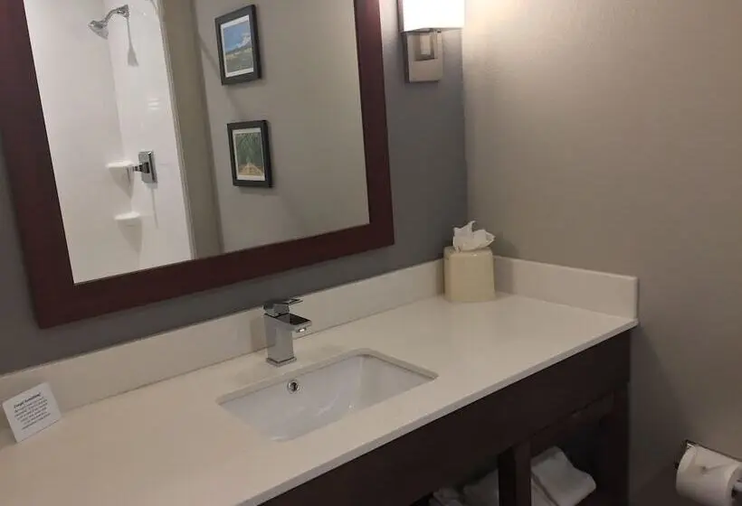 身障者適用スイートルーム, Comfort Suites North Charleston  Ashley Phosphate