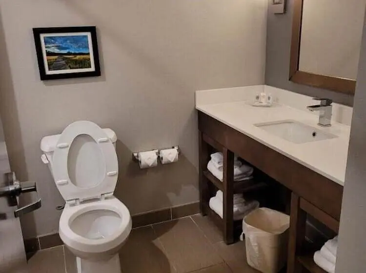 身障者適用スイートルーム, Comfort Suites North Charleston  Ashley Phosphate