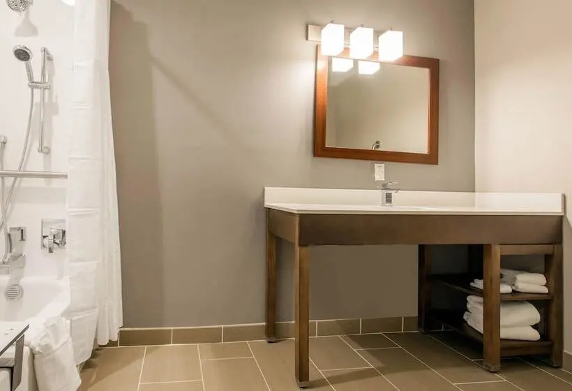 身障者適用スイートルーム, Comfort Suites North Charleston  Ashley Phosphate