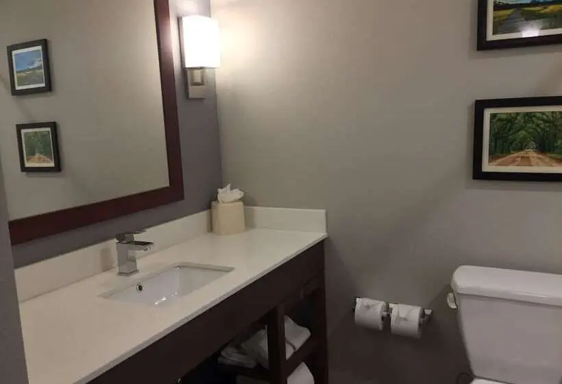 身障者適用スイートルーム, Comfort Suites North Charleston  Ashley Phosphate