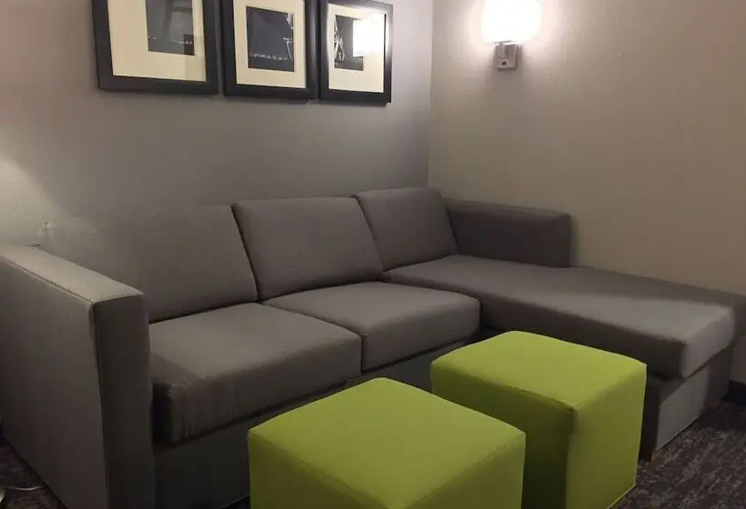 身障者適用スイートルーム, Comfort Suites North Charleston  Ashley Phosphate