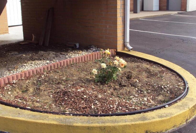 带大床的套房, Executive Inn