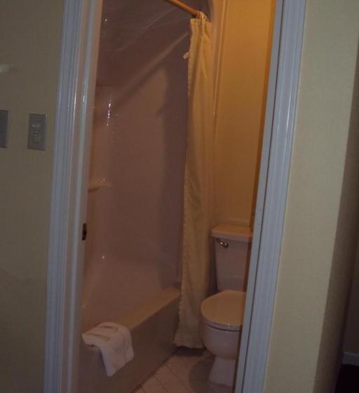 带大床的套房, Executive Inn