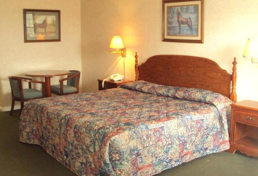 带大床的套房, Executive Inn