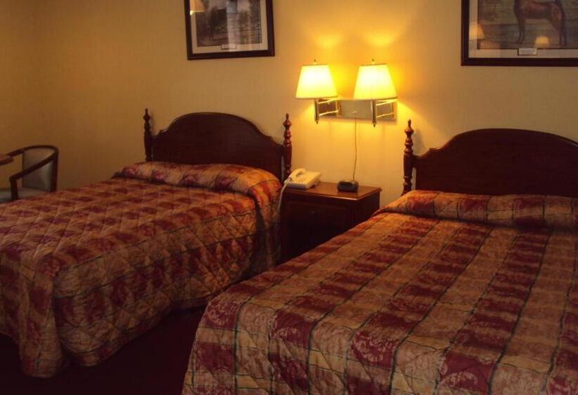 带2个双人床的标准工作室, Executive Inn